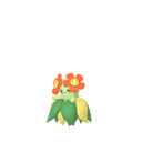Bellossom