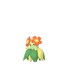 Bellossom