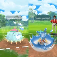 Brine used in a Trainer Battle