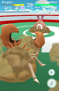 Dig used in a Gym Battle