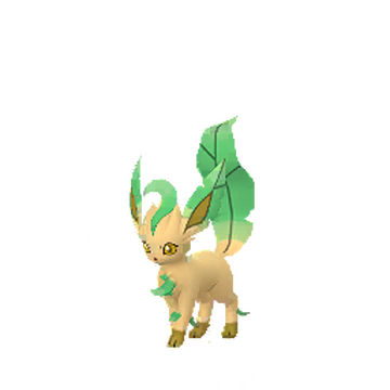 Leafeon💯🙏🏻, Wiki