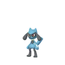 Riolu