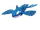 Kyogre