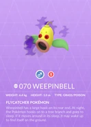 Weepinbell Shadow Pokédex entry