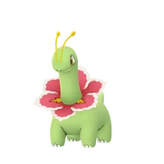 Meganium female