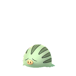 Swinub shiny