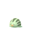 Swinub