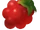 Berries