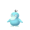 Psyduck