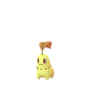 Chikorita