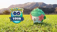 Banner for Shaymin