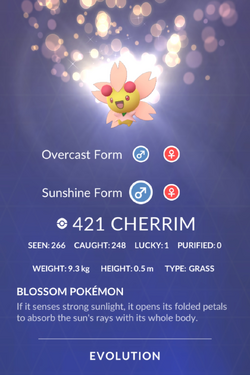Cherrim, Pokémon GO Wiki