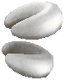 Gladion Hat