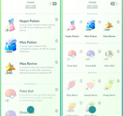 Items, Pokémon GO Wiki