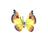 Vivillon