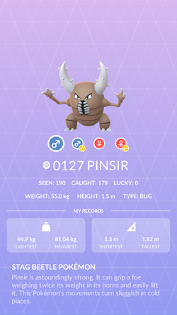 Pinsir Pokédex: stats, moves, evolution & locations