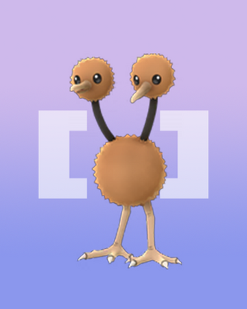 ドードー Pokemongo Wikia Fandom ドードー Pokemongo Wikia Fandom