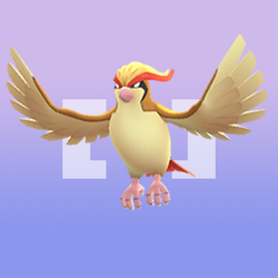 カテゴリ ひこうポケモン Pokemongo Wikia Fandom