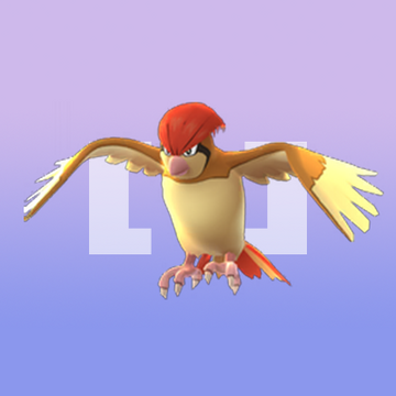 ピジョン Pokemongo Wikia Fandom