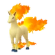 Rapidash