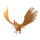 Fearow