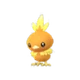 Torchic