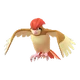 Pidgeotto
