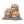 Dugtrio