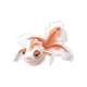 Goldeen