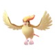 Pidgeot