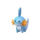 Mudkip