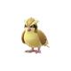 Pidgey