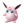 Wigglytuff