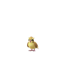 Pidgeot, Pokémon GO Wiki