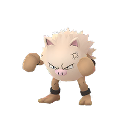 POKEXGAMES #05 ⚡ Primeape Endoidece! 