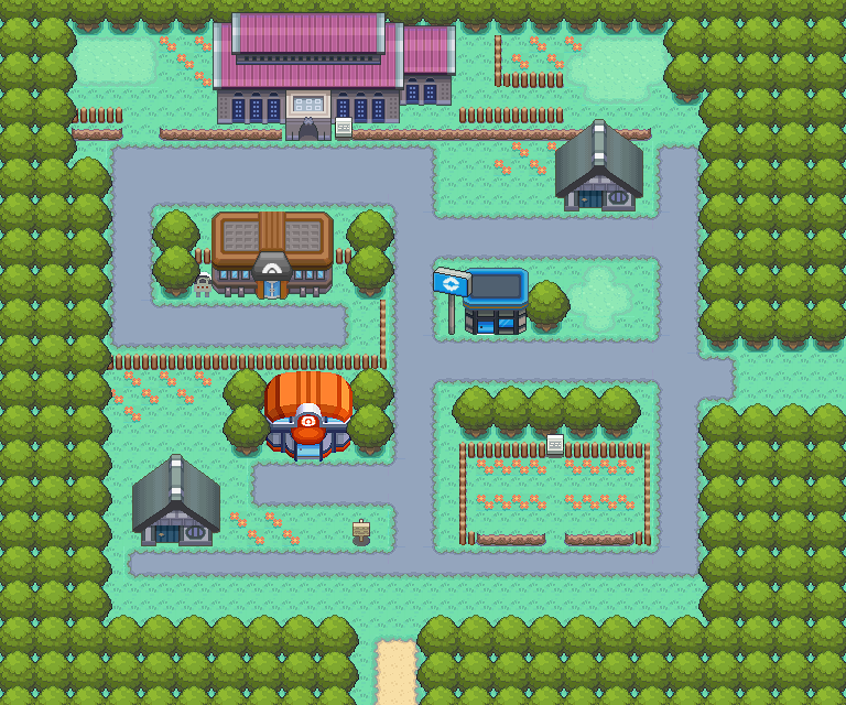 Pewter City, PokeMMO Wiki