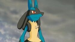 Sir Aaron Lucario