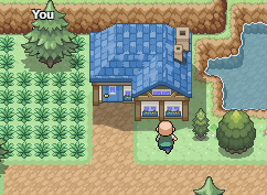 Newpine Town  Pokémon Legends: Online MMORPG Pokemon Game Wikia