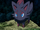 Zorua de Rivaille