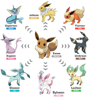 Eevee and the eight Eeveelutions