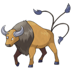 Tauros1