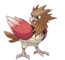 Spearow