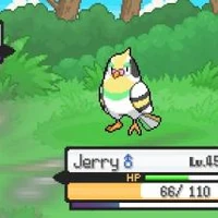 What Is Your Team In The Game Pokemon Solar Light Lunar Dark