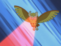 Pokemon Explained: Ash's Shiny Noctowl