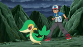 Snivy and Ash