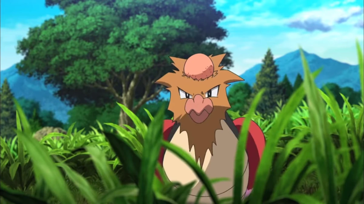 Ash's Fearow Pokemon Return of the Champion Wiki Fandom