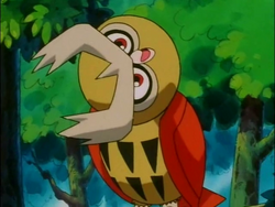 Pokemon Explained: Ash's Shiny Noctowl