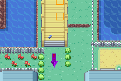 Forum:Celadon Gym (Challenge Level), Pokemon Tower Defense Wiki