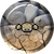 074Geodude2