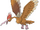 Fearow